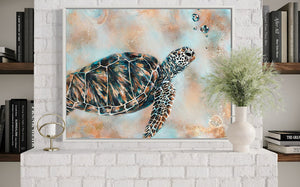 Turtle Drift