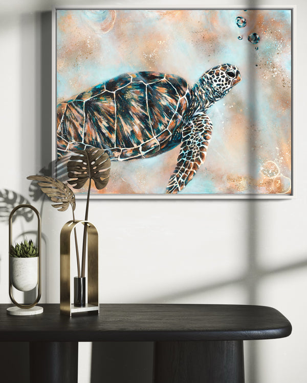 Turtle Drift - Canvas