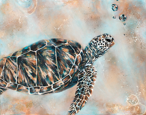 Turtle Drift - Canvas