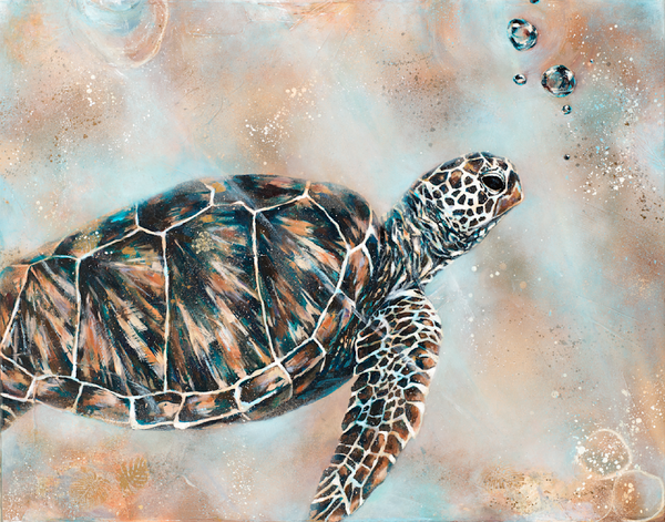 Turtle Drift - Canvas