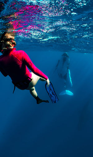 Freedive Fin Blades