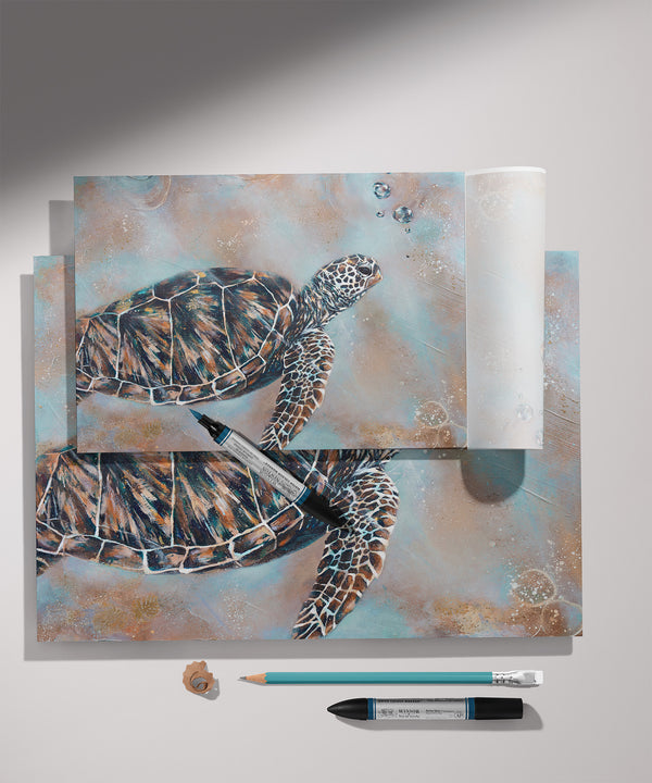 Turtle Drift - Paper